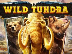 Wild Tundra