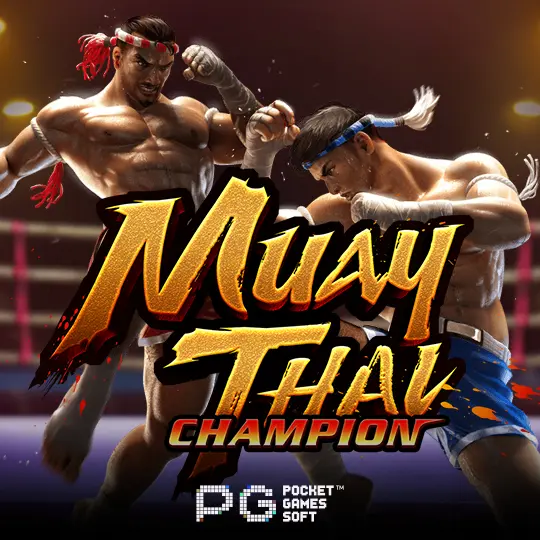 Muay Thai Champion